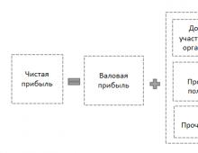 Практическое пособие по формированию бухгалтерской отчетности для подготовки и оформлению контрольных работ, курсовых и выпускных квалификационных работ