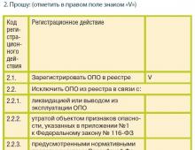 Сведения характеризующие опо образец заполнения 2022 ростехнадзор